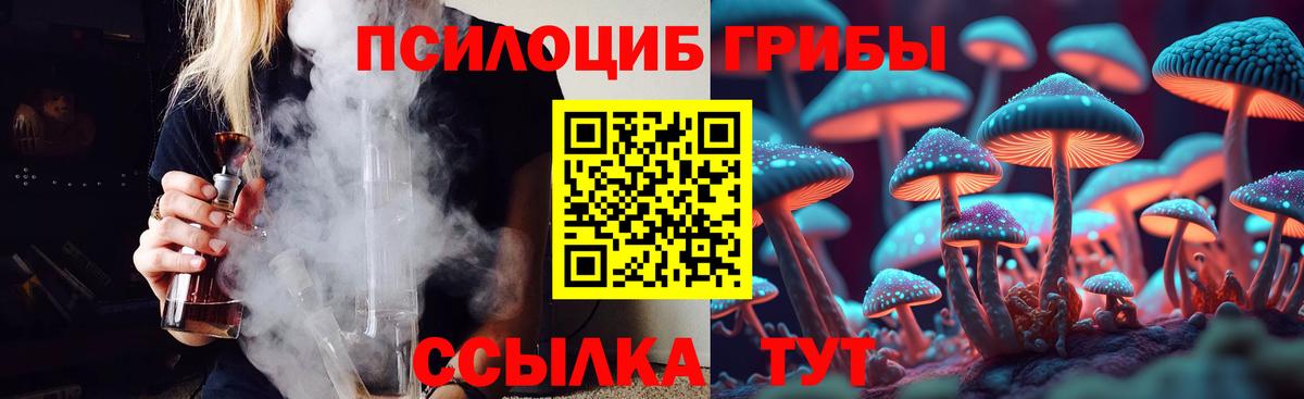 Псилоцибиновые грибы Psilocybine cubensis  Галлюциногенные грибы прущие грибы  Вход с VPN  Нижнеудинск 