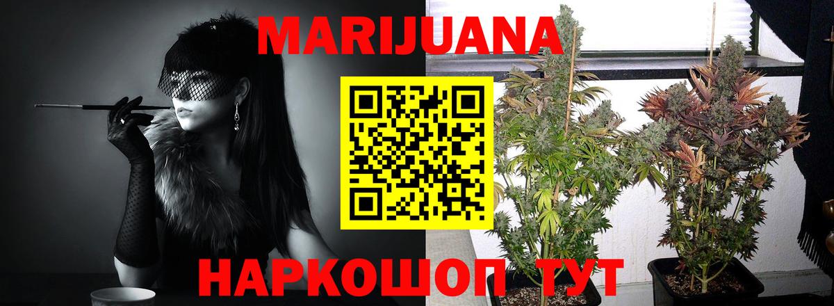 Шишки марихуана конопля  Вход с VPN  Нижнеудинск  Каннабис ГИДРОПОН 
